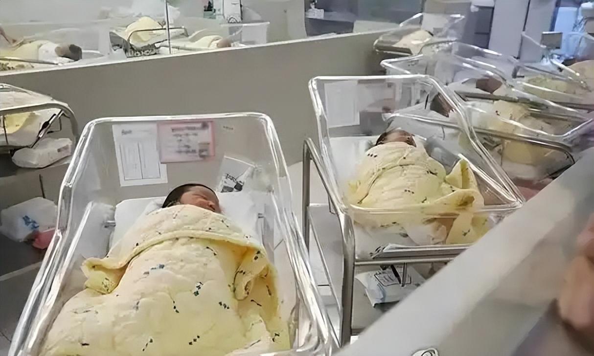 生育大局已定！2026新生儿预估出炉，低生育率根本不是年轻人懒生说句心里话，