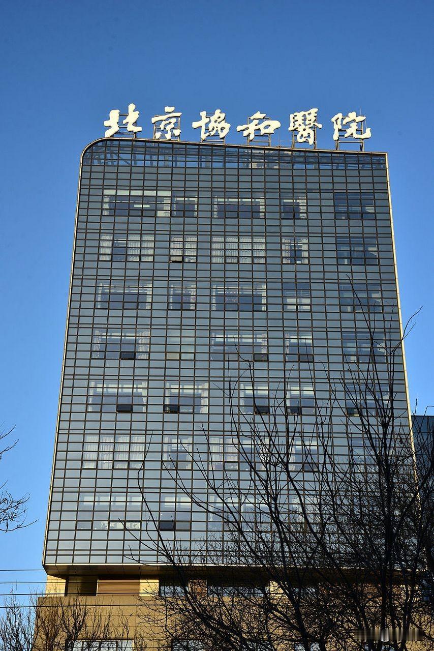 魔幻突破！协和住院医师借助AI，攻克困扰全球22年Crouzeix猜想，科学研究