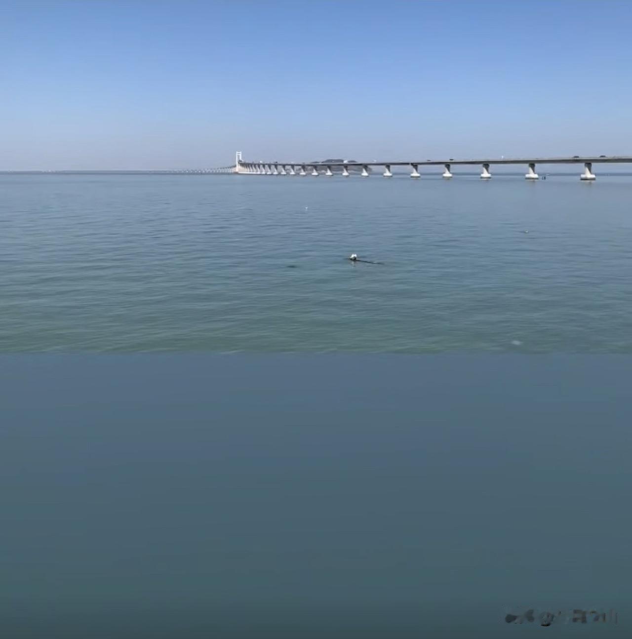 单位里最可怕的不是加班，不是工资低，而是遇上一个“心智没长熟”的领导！你兢兢