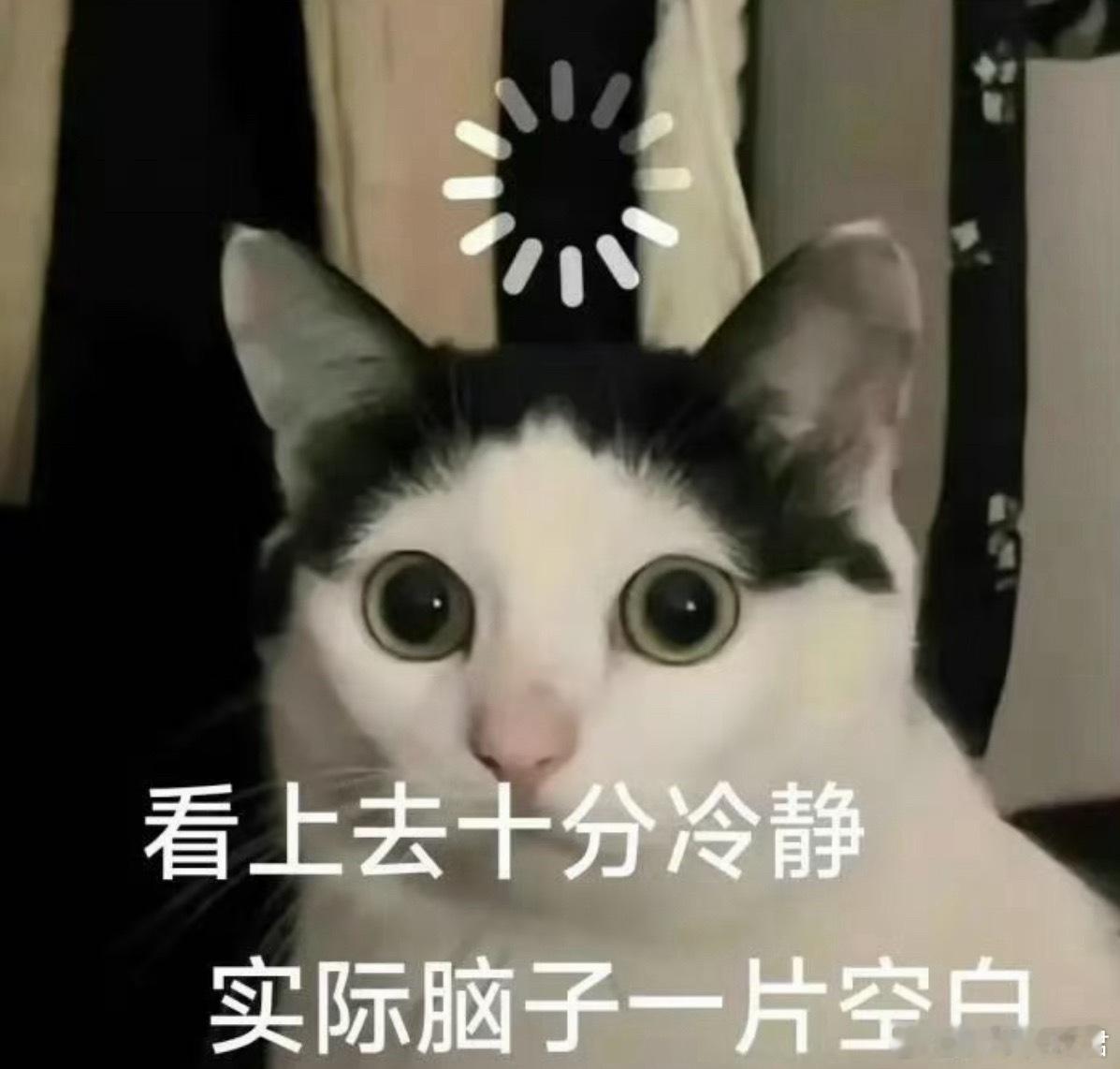 印度一猴子幼崽夭折后闯民宅抓走婴儿一只猴子劫持了一名婴儿，你自己看吧，解释不清楚