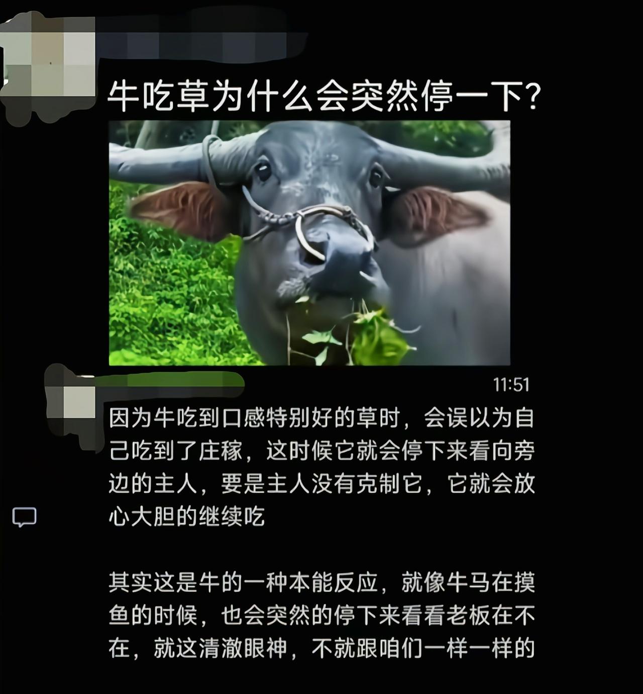 要不是小时候放过牛，我还真相信了[捂脸哭]