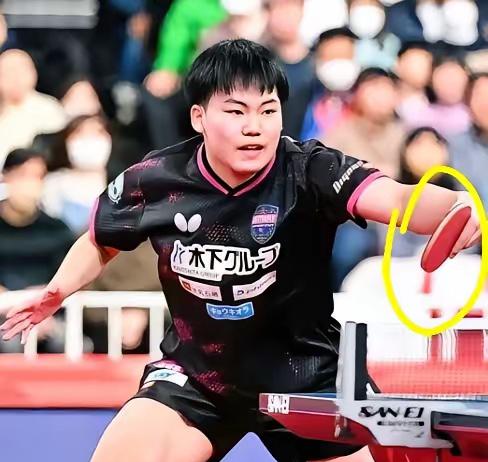 这就是最讽刺的地方。​我们还在盯着张本智和那点嘶吼，却没发现，真正的“祸根”是