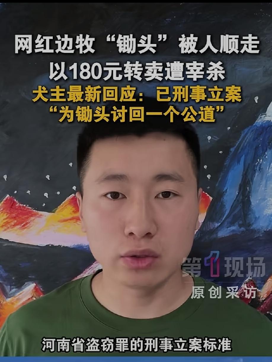 网红边牧被人顺走，以180元转卖后遭宰杀，狗主人最新回应来了，河南警方已经刑事立