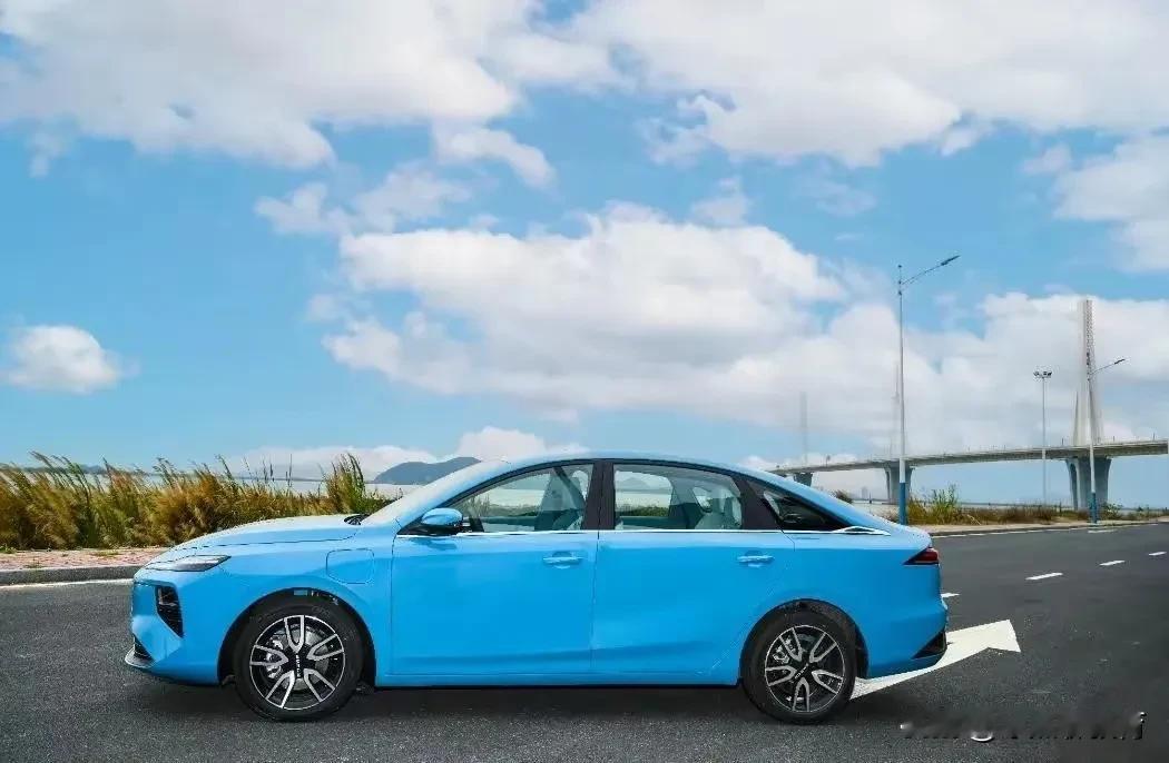 听我一句劝，2025买车不纠结：1、通勤用，纯电车。2、短途用，混动车。3