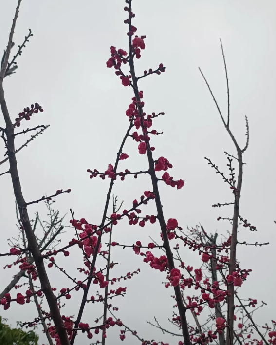 当老师的，切忌在学生面前性格示弱，不然，你大概率教不好书。学生其实都是一群善于