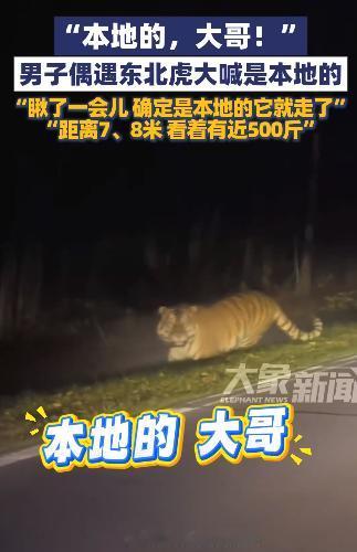 解释不清了！吉林一女子晚上打车回家，结果，司机开到一偏僻处，突然停车！女子一下就