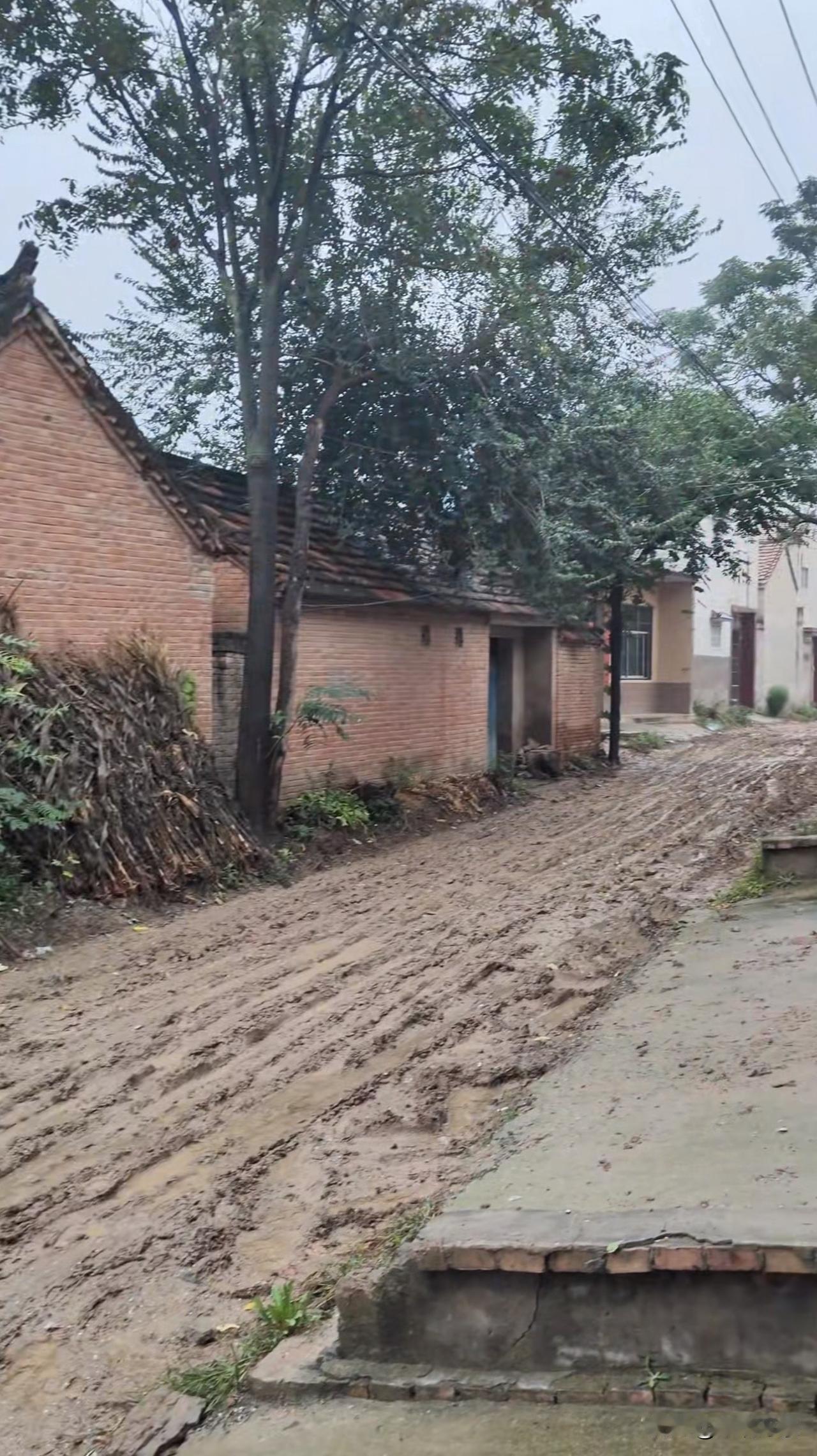 2026.乡村道路，多雨的季节