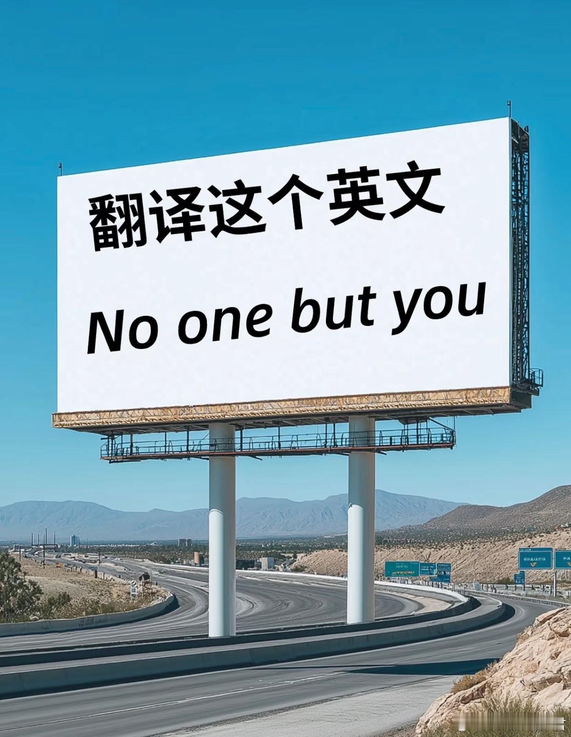 用你的英语水平翻译这句话​​​