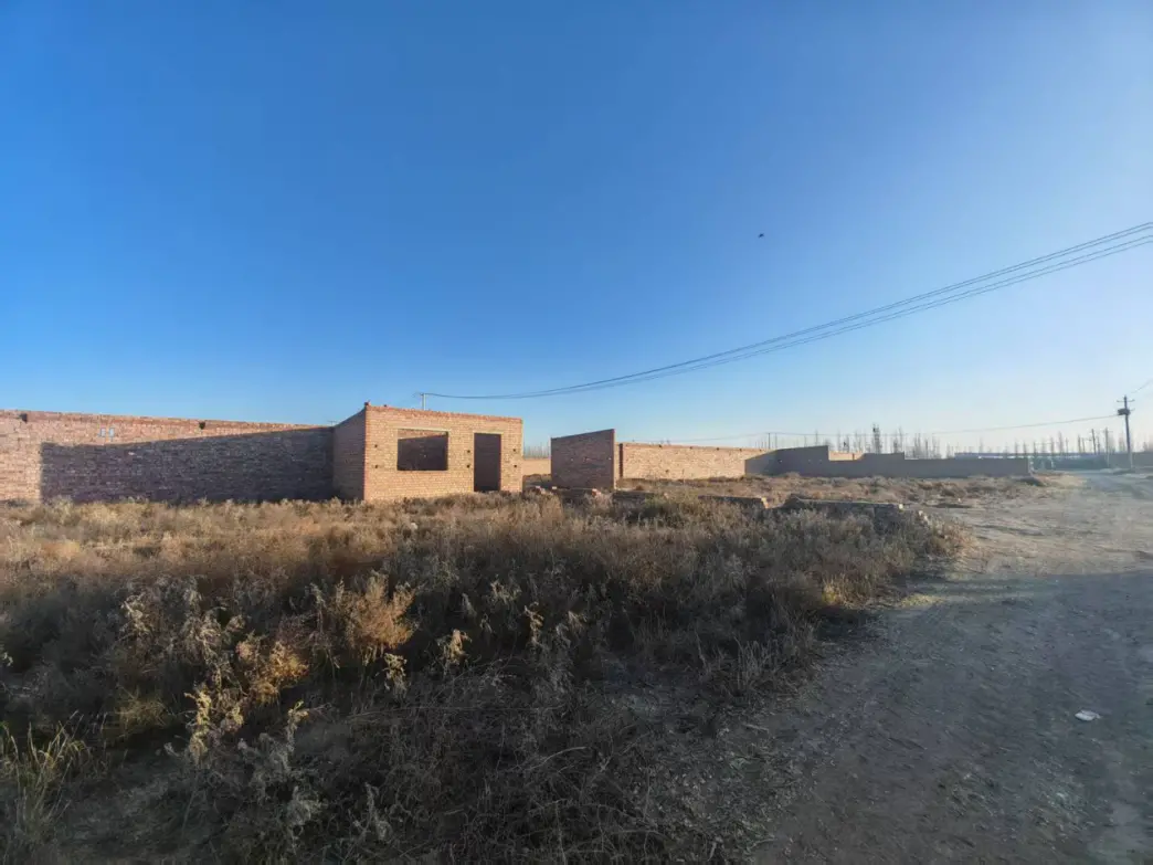 宁夏吴忠一公司被举报以合作养牛名义非法转让国有土地, 当地: 不整改将收回土地