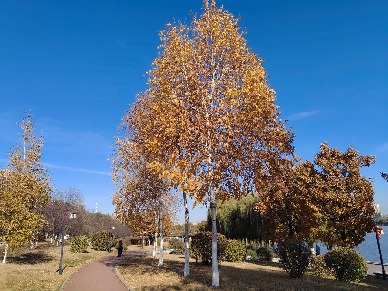 三峡大学外慰男生潜入女生宿舍楼是宿管阿姨报的警,这位阿姨工作能保住吗?10