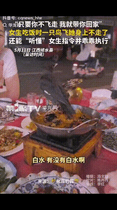 万万没想到！江西，女子和朋友一起吃饭，一只鸟飞到餐桌上，不料，这只鸟不但不怕人，