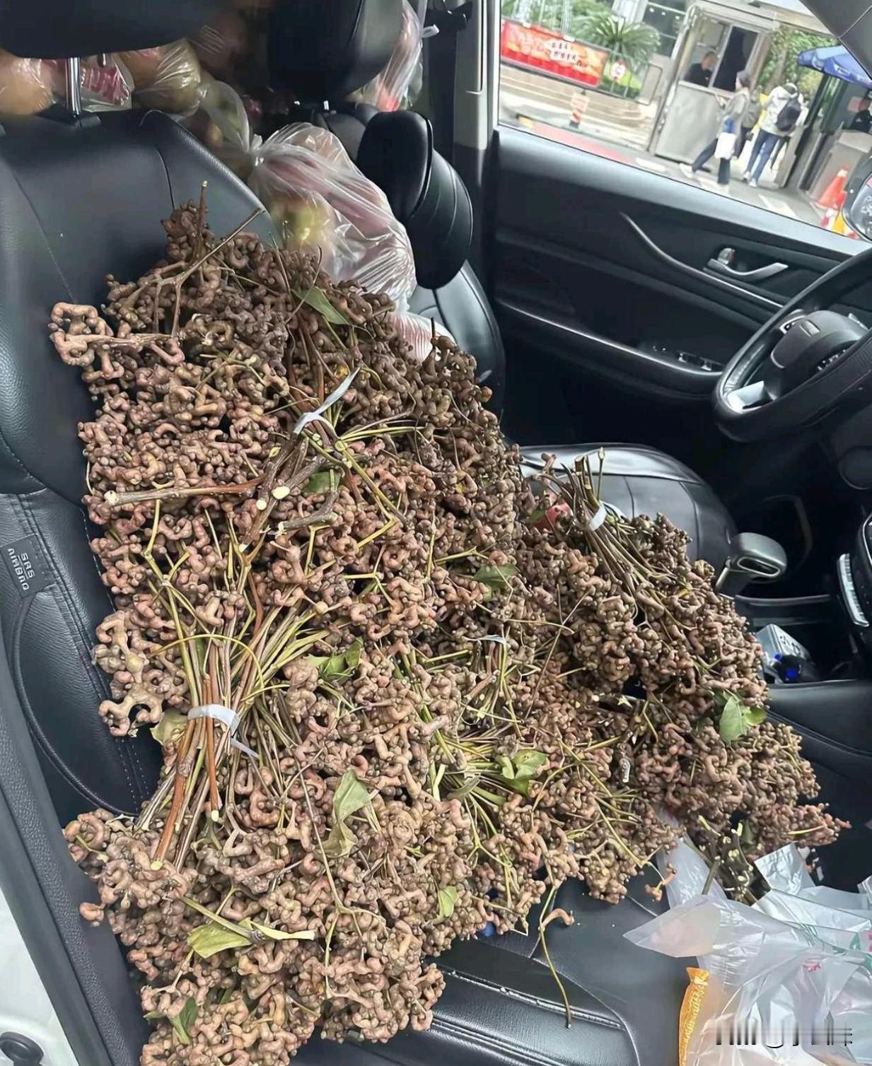 回老家一趟，这油钱都挣回来了，有人知道这是什么吗？