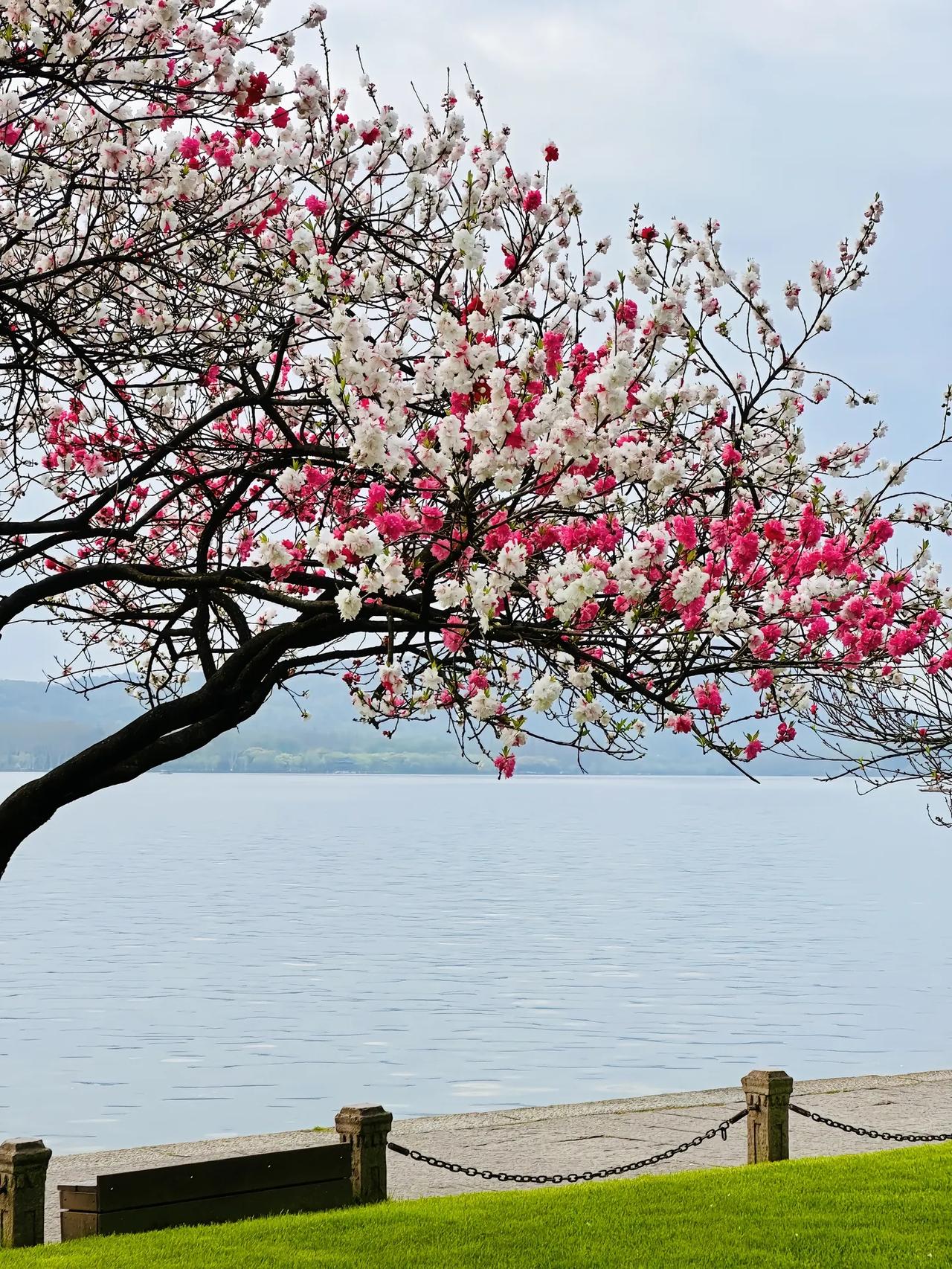 很多人没弄明白，国家禁止的是学校老师在节假日大规模开展班课。以往，数学老师、物理