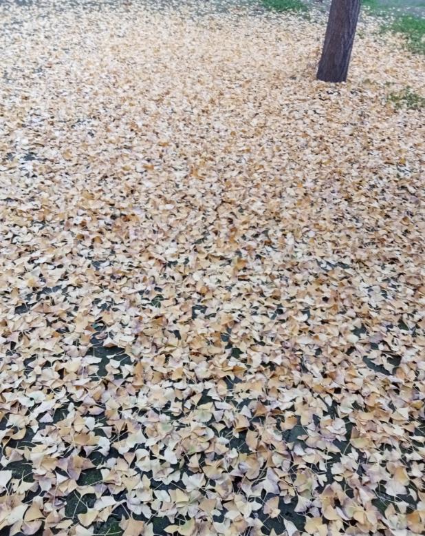 一个女人，对儿子心凉，能到什么程度？女人抓奸三次全扑空，竟是14岁儿子给