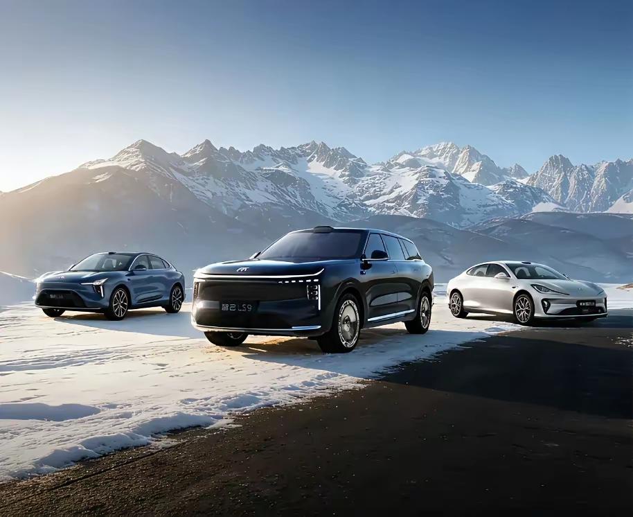 不管你信不信，反正我是信了，专家预判未来中国汽车品牌生存率：1、一汽，可能性占