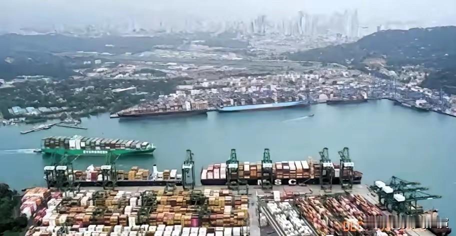 这又是一次重大胜利，贝莱德财团宣布退出！12月24日这消息一出来，真是太爽了