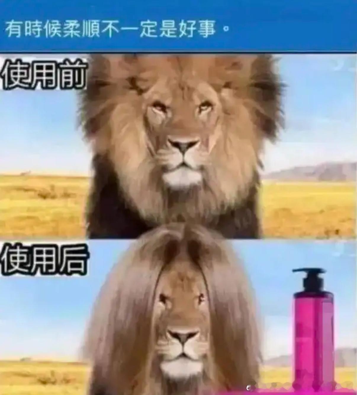 5137有时候柔顺不一定是好事​​​