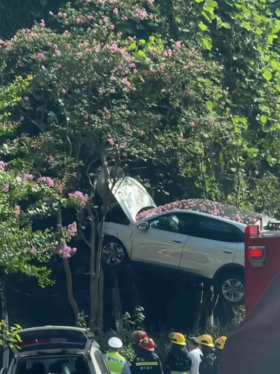 看第一张照片时怎么也没想到是这样拍出来的