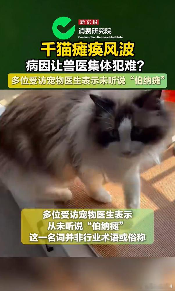别再盲目把猫咪瘫痪甩锅给猫粮了！结合多地医院接诊情况来看，瘫痪猫咪的猫粮品牌五花