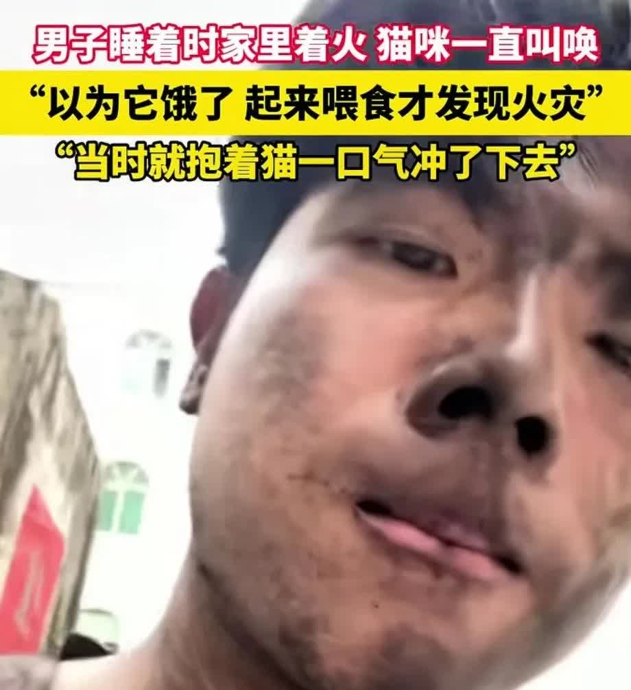男子睡觉时，猫咪一直站在枕头边叫，他以为猫咪饿了，迷迷糊糊起来给猫咪倒猫粮，这时