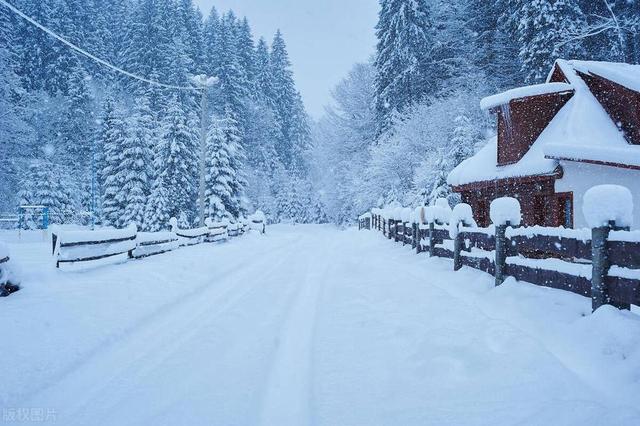 今年三九不冷, 春节要雪堵门, 60年一遇大雪? 看四九天谚语咋说