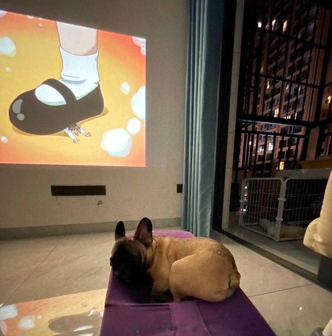 上班有多烦下班就有多爱炫饭​​​