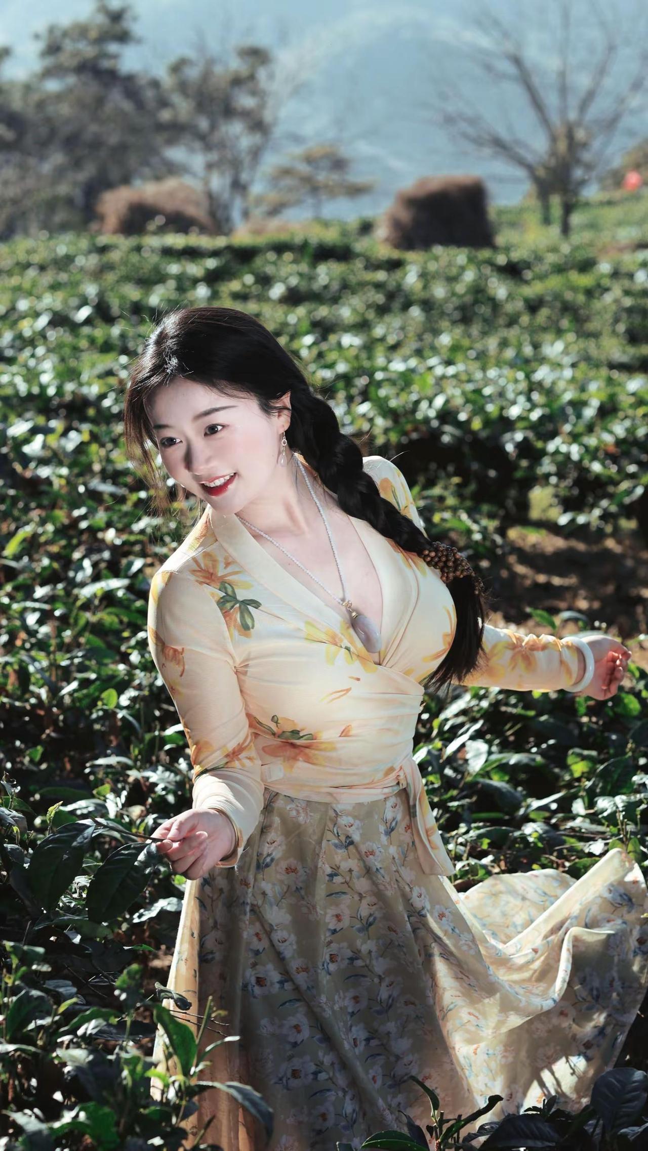 立春，在云南我们说阿妹想带你去采茶叶