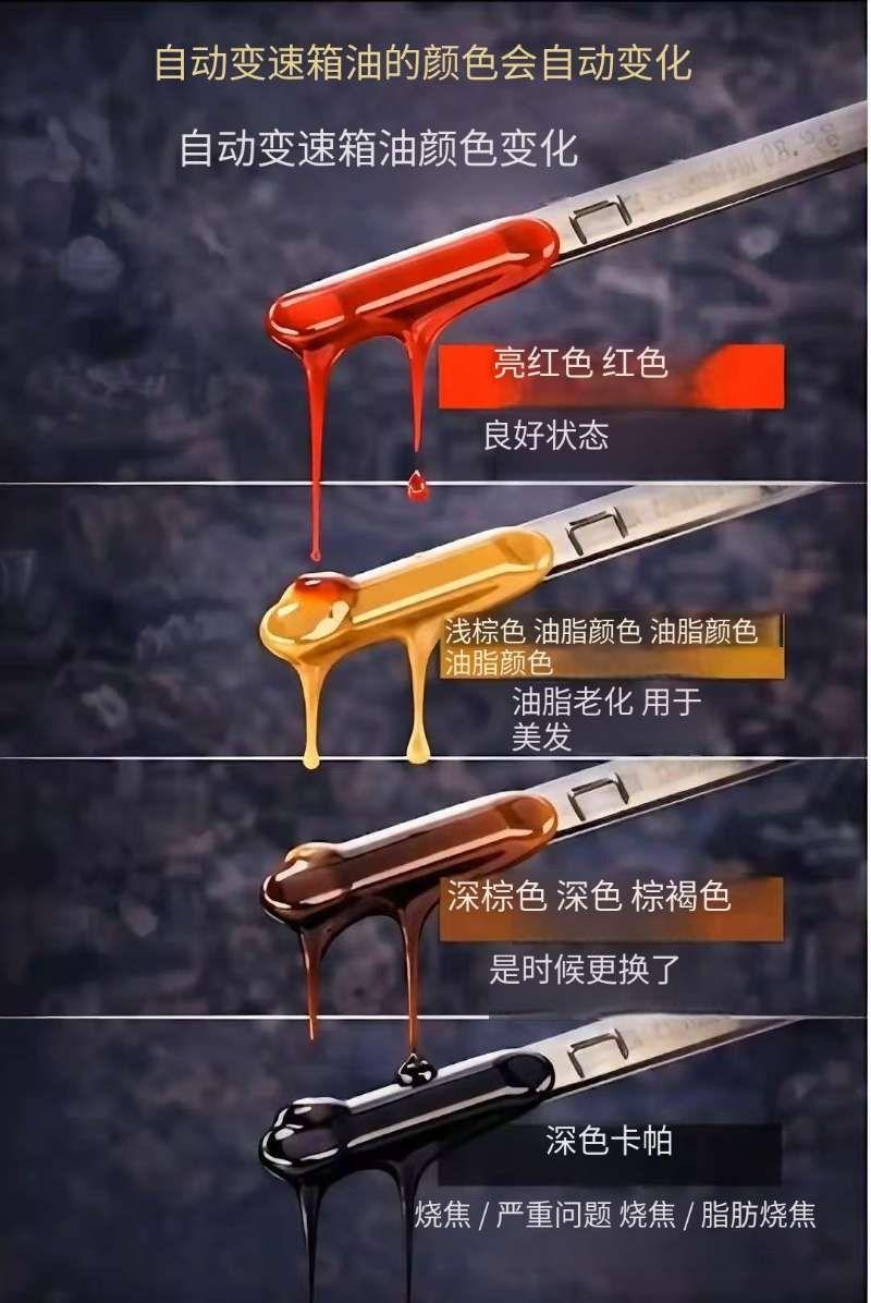 🚫别划走！不然你要花大钱修变速箱了！💰你上次检查自动变速箱油是什么时