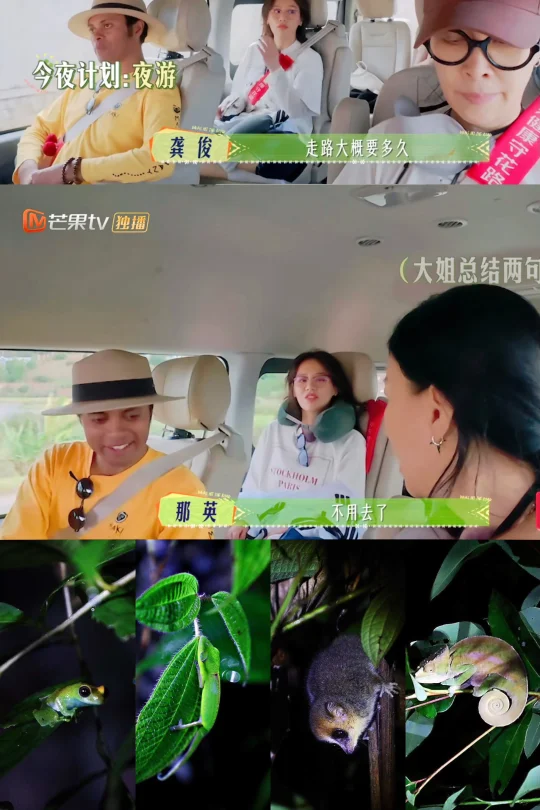 花少7放弃的那个夜游，叹为观止眼力大挑战