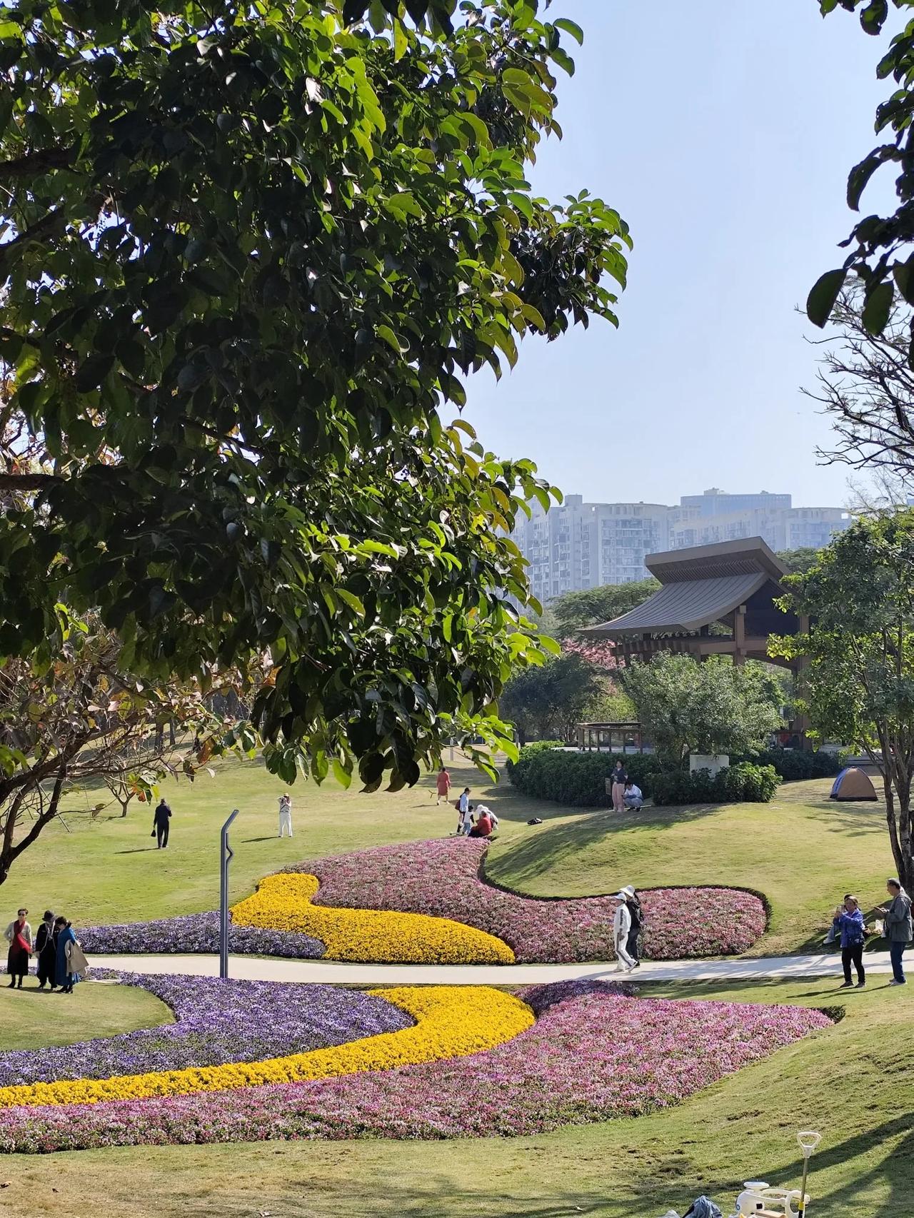 关于张鹤伦要出走这件事，老郭肉眼可见的紧张，因为张鹤伦实在是个相声奇才，如果走了
