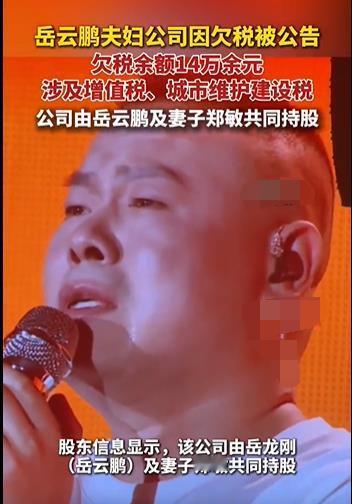 岳云鹏你可不要乱搞啊，搞个绯闻都没偷税漏税麻烦大，再说了，你也不差那俩钱啊，14