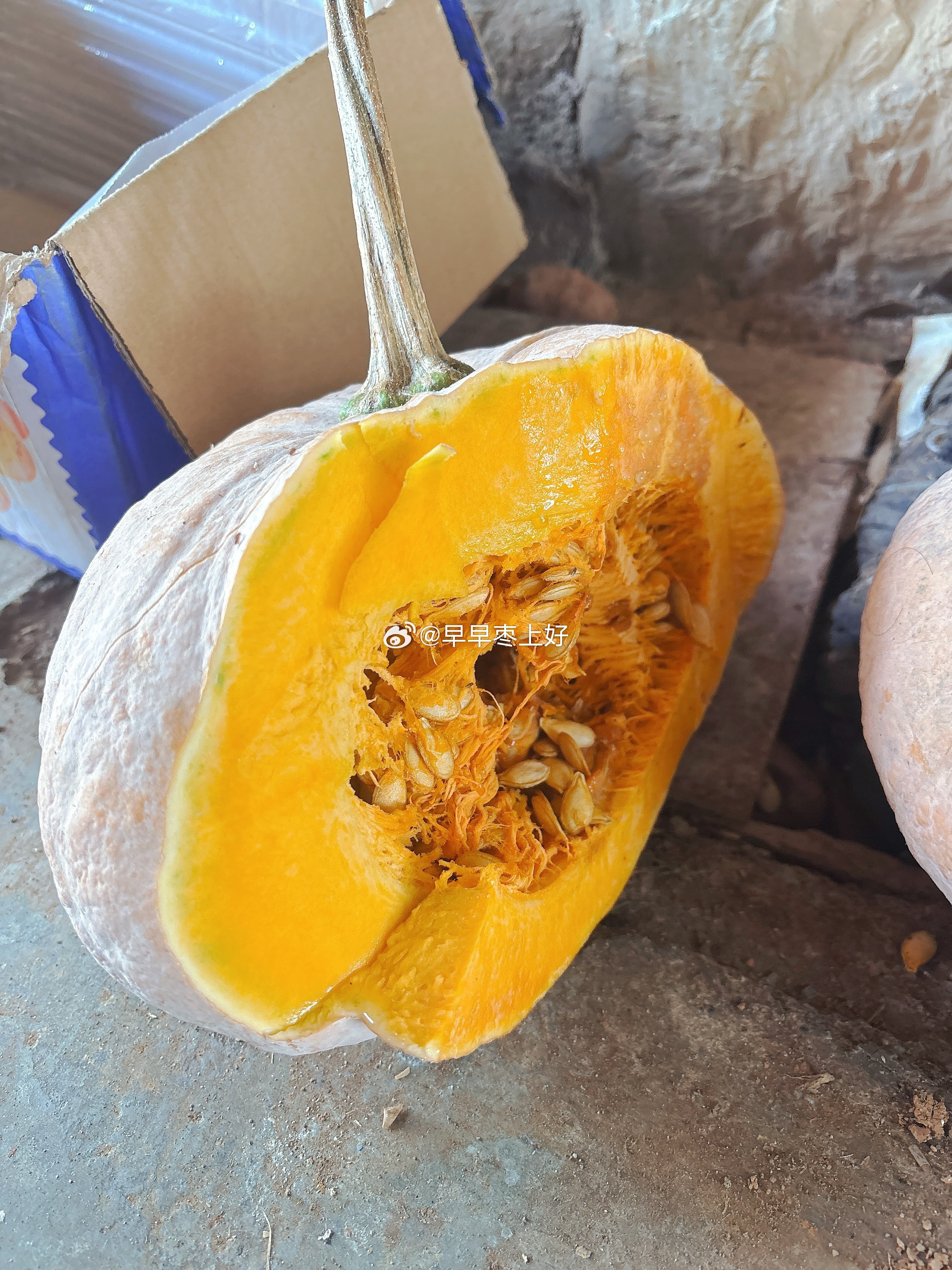 ॱଳ͘𝒚𝒖𝒎𝒎𝒚‼我家今日份的南瓜🎃馒头，蒸好了。啊啊啊～～好挤