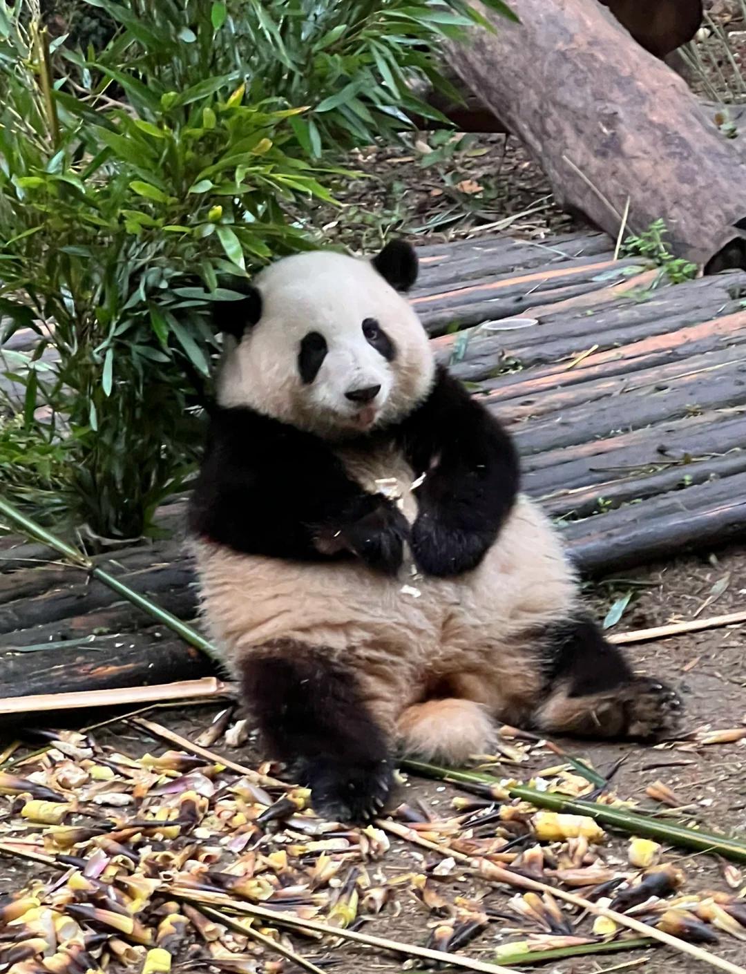 9月26日，各大媒体接连披露了此次中美达成的八项共识内容。说实在的，排在前面的七