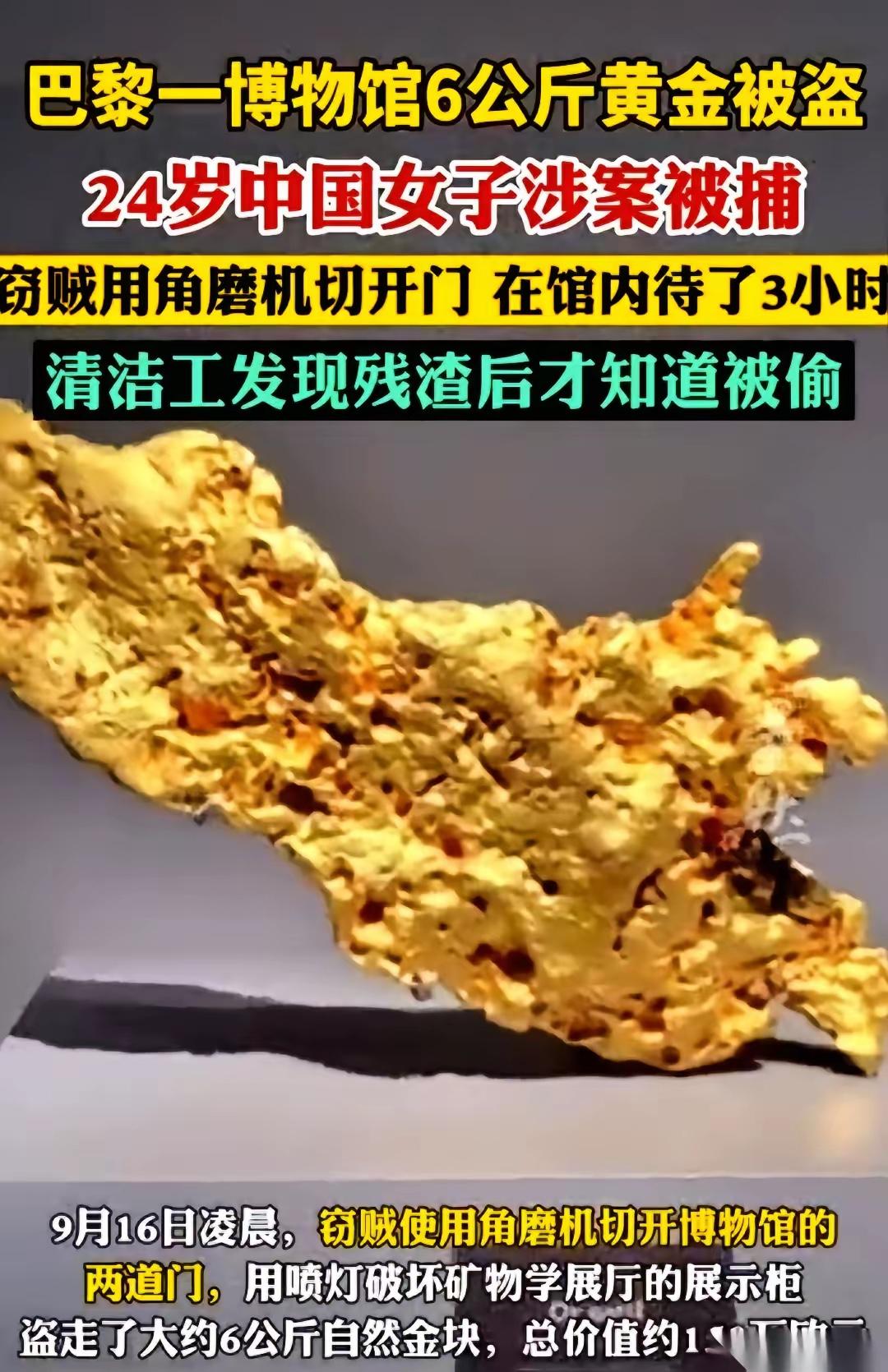 刷到巴黎自然历史博物馆失窃案——一个24岁的中国姑娘，居然带着角磨机和喷灯，
