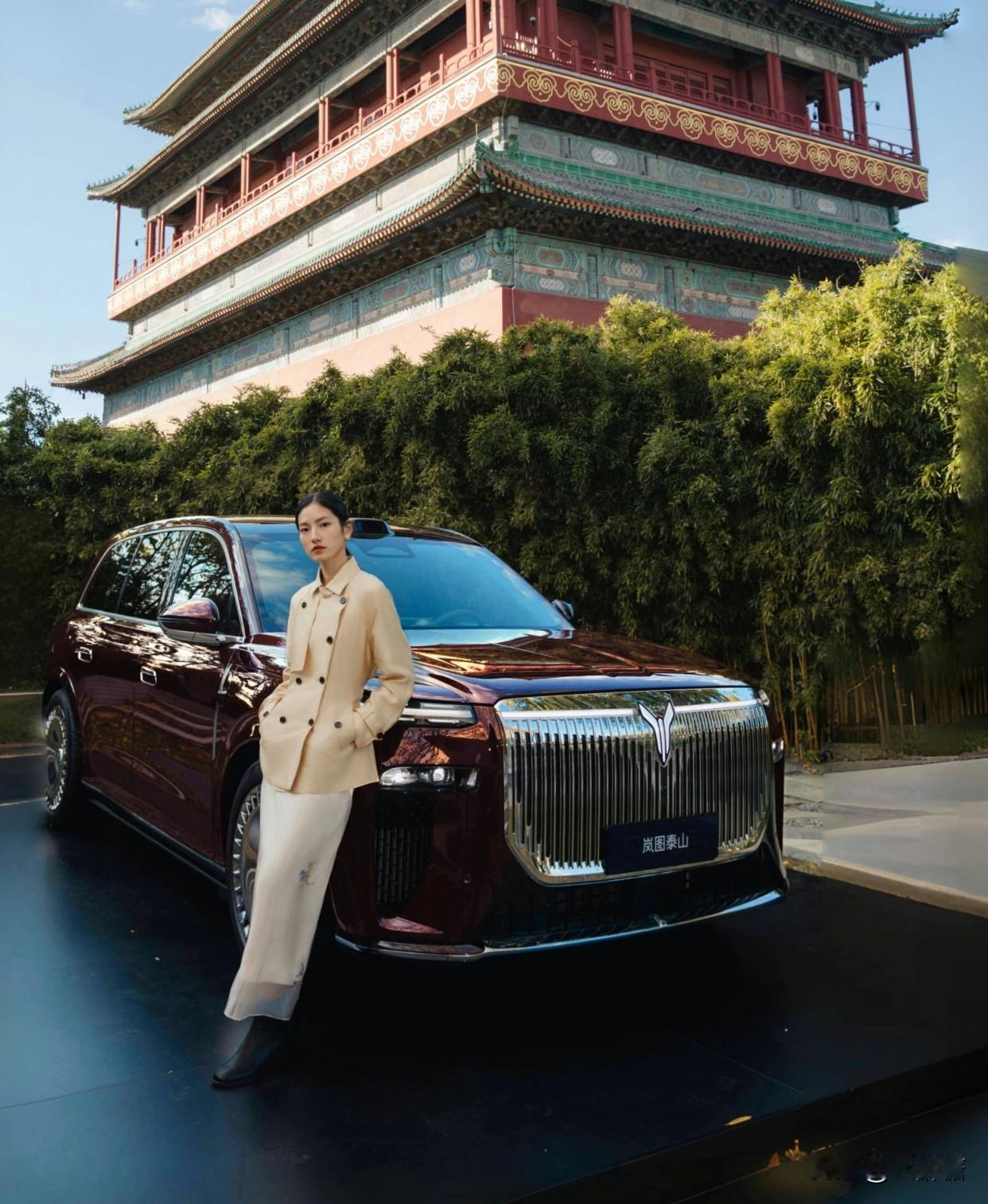 公公攒了30万，说要支持国产新能源，看中了岚图泰山的东方美学；婆婆却觉得腾势更稳