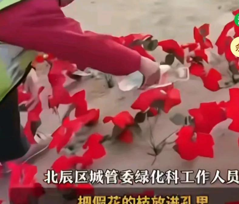 天津一公园工作人员在地上插假花，并给假花浇水引起网友质疑，工作人员回应是为了增