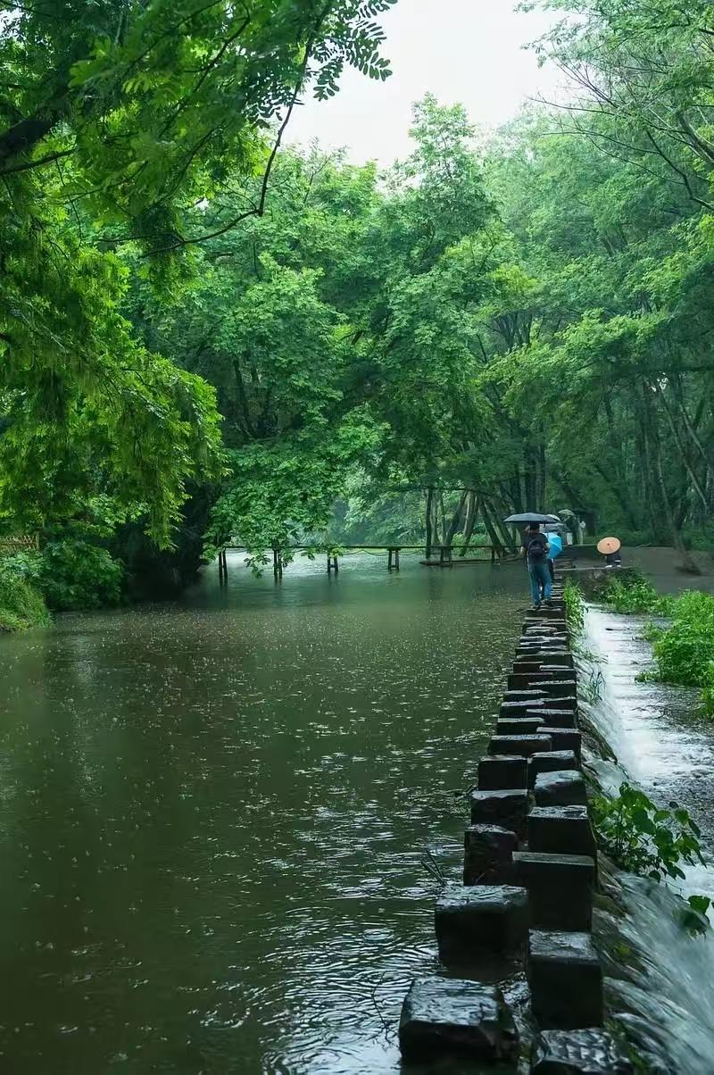 四块玉·寻春溪水吟，和风软，雨润涟漪赴春筵。绿枝成荫幽径掩。翠林里，鸟韵