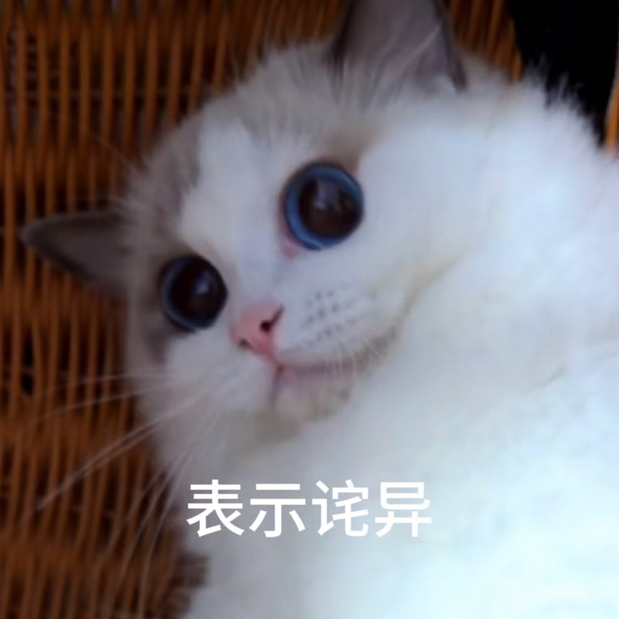 社死时刻[笑着哭]他今天还在外边，我们打视频，他特意去了一个单独的地方和我说话，我