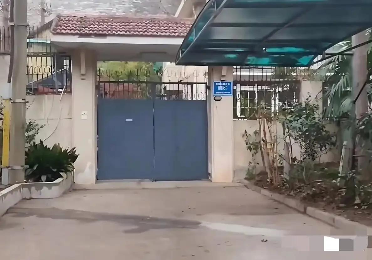 南京博物院前院长徐湖平家的别墅，昨晚亮了一整夜灯！隔壁邻居都瞧见了，徐老院长怕是