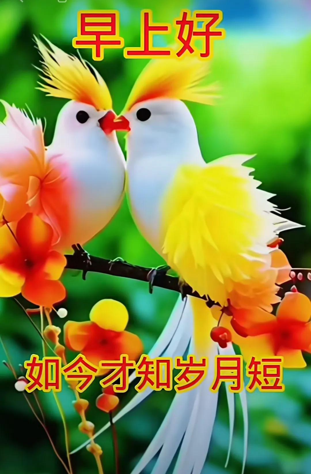時光帶走了一切，唯獨友誼依舊在，朋友是人生知音，願我們一路同行，共享美好