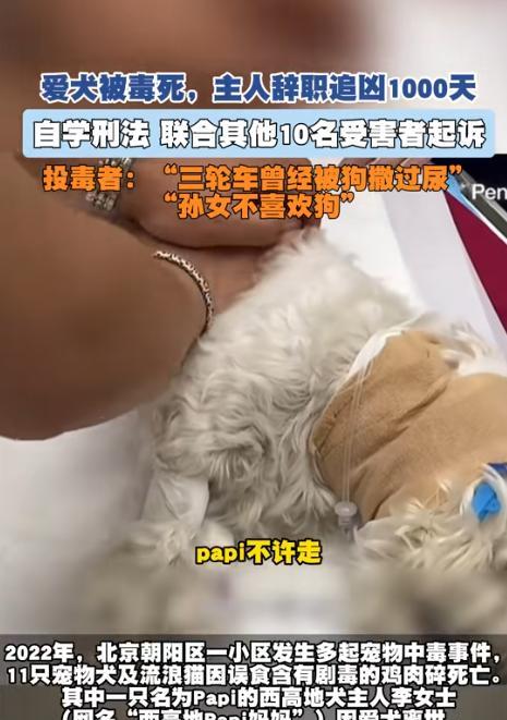 “太执着了！”北京，一名女子的宠物狗被毒死，决定辞职寻找凶手，6月19号，这起案