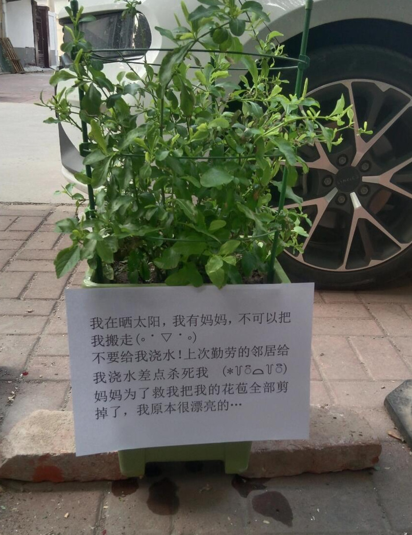 好好好，贴上告示了，应该不会有勤劳的邻居帮忙浇水了