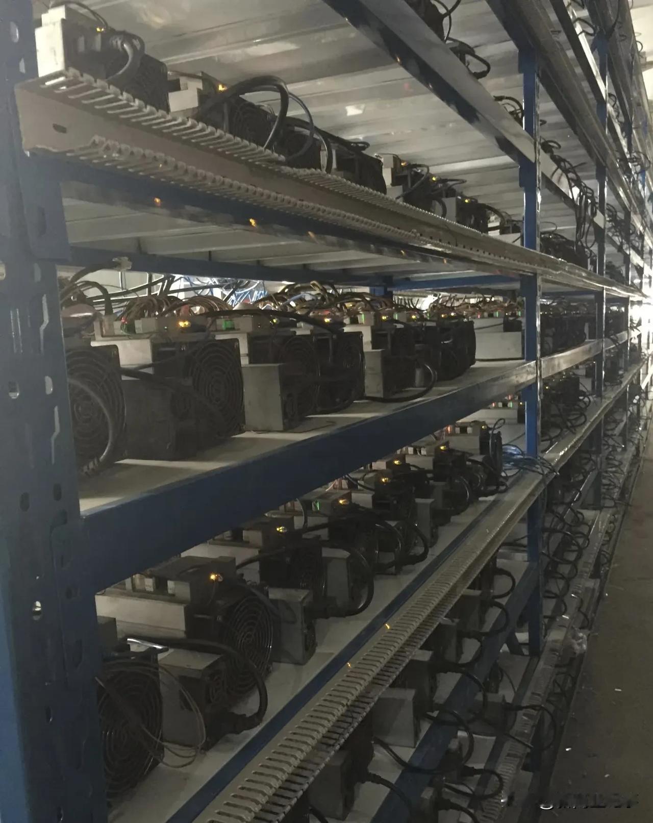 忠于见到了传说中的比特币矿场，建在贵州的深山老林中，附近海有个小水电站，电费等于
