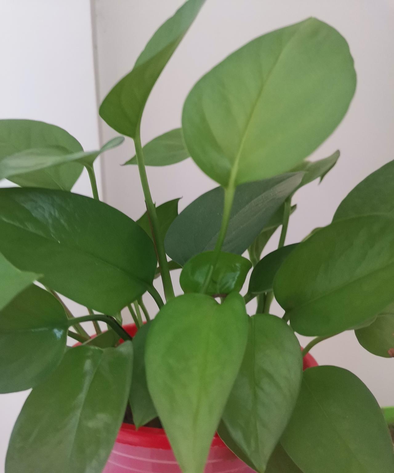临近退休一定要明白，单位离开谁都行，老同志对权利的眷恋、对岗位的依依不舍唯实是为