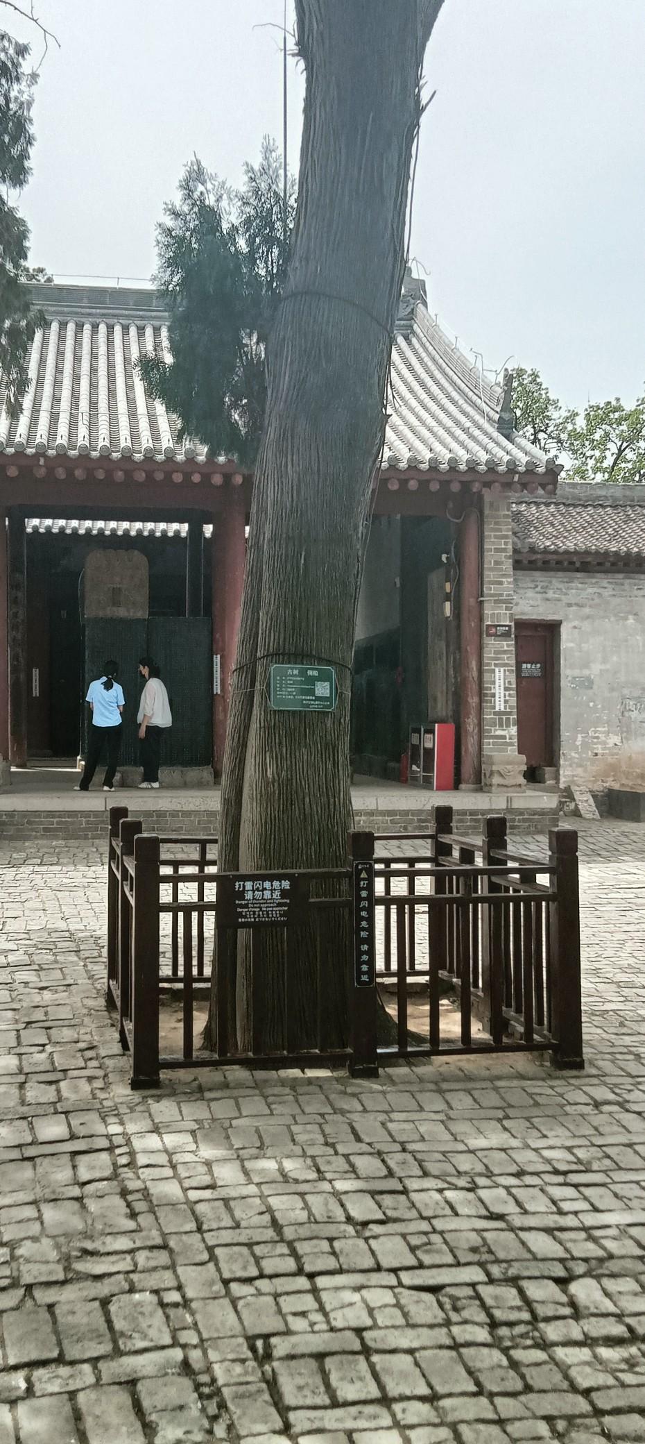 大咖，你这话让我听着，真不是味儿你说，“如果你老糊涂了，少发言就是对二八的贡献