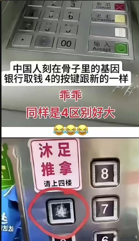 谁说粪坑的石头就又丑又硬，只不过它呆错了地方。​​​