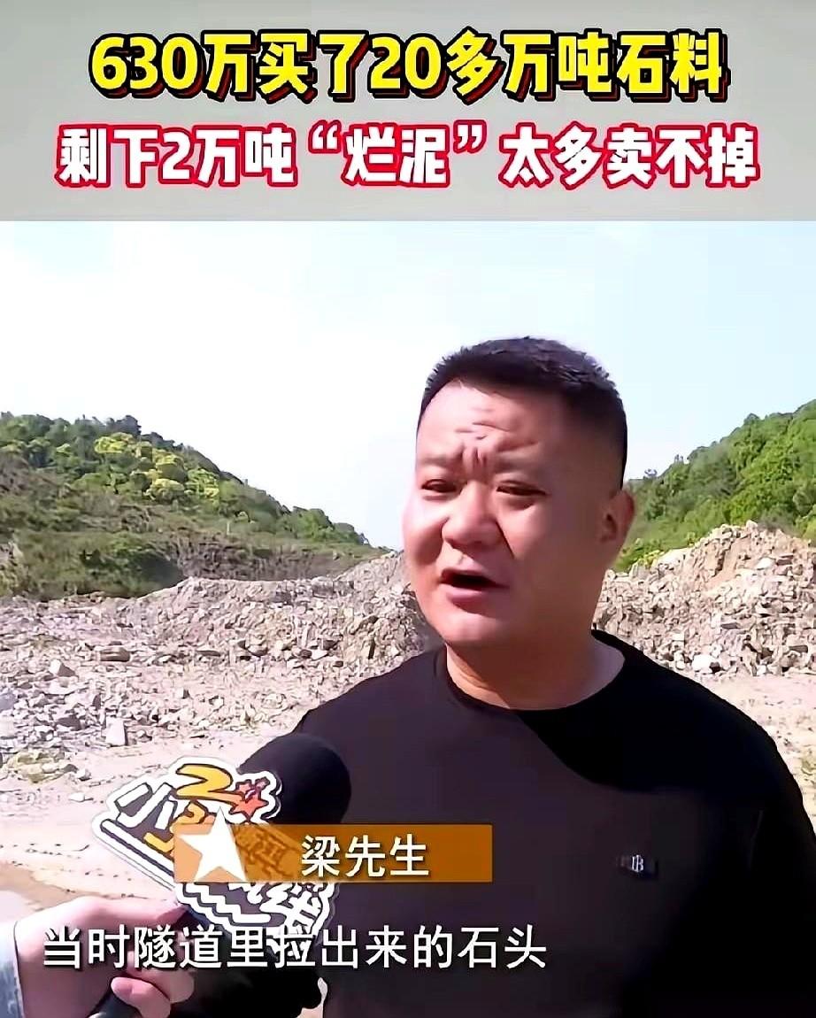 630万，买了一座山。一座能把他活活压死的废料山。当质检报告拍在桌上，说这堆