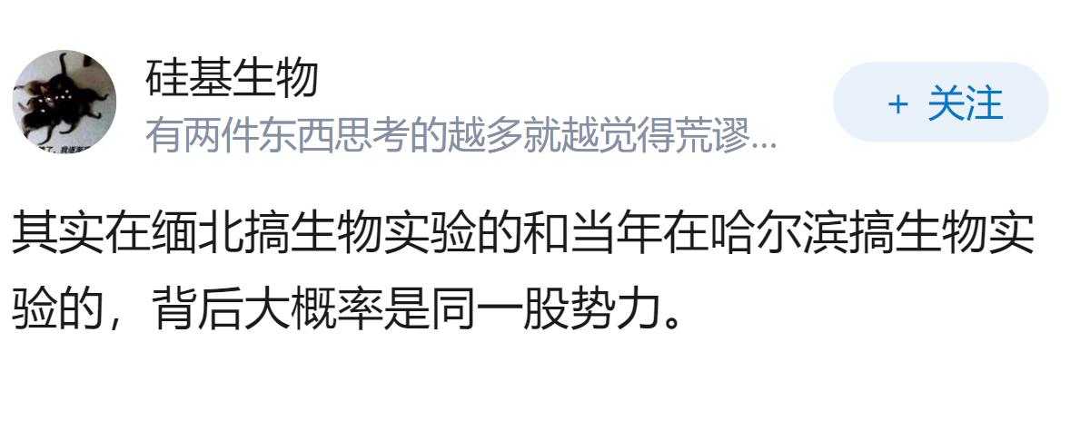 缅北到底有多乱？