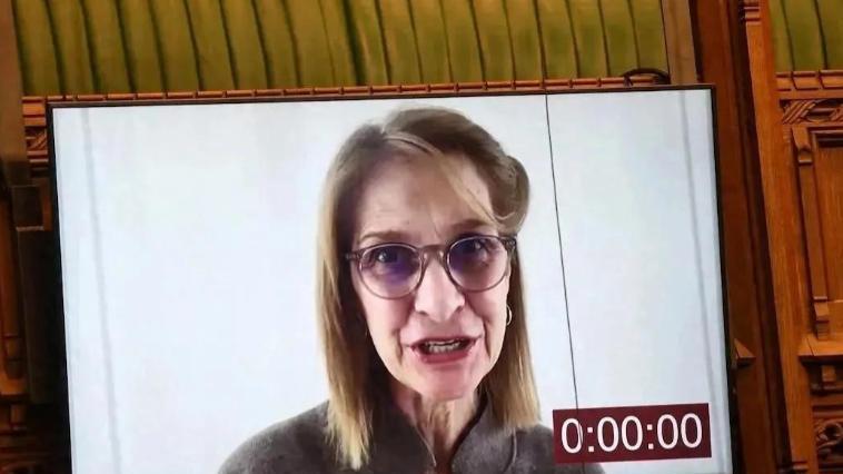 香港这次真是太霸气了！4月10日，65岁的英女议员霍布豪斯赴港探望新生孙儿，在机