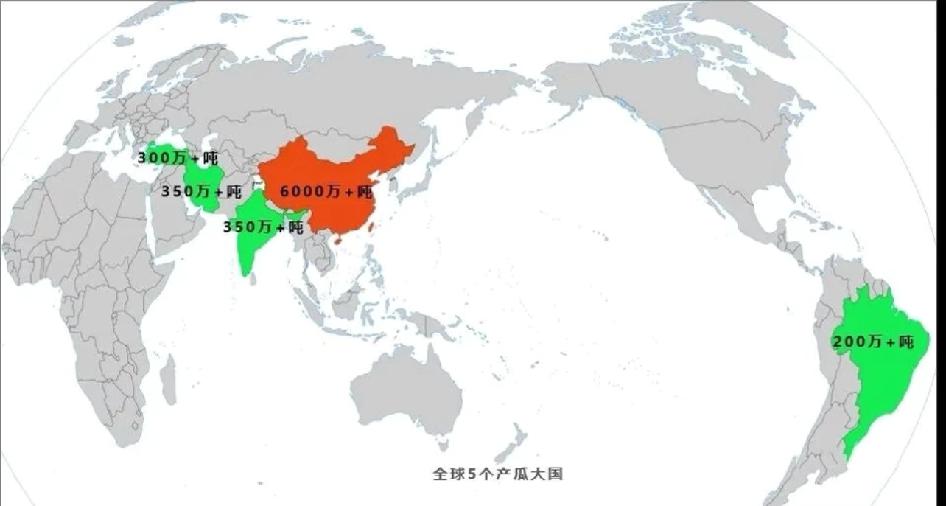 全球西瓜产量基本稳定在1亿吨左右，中国年产量大约在6000万吨以上，仅河南一省就